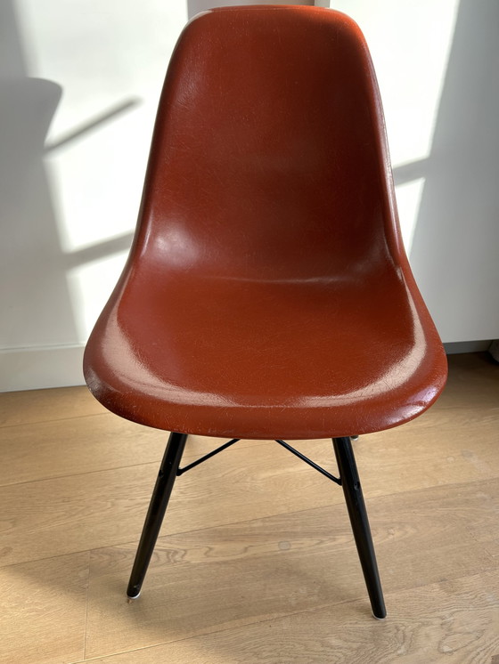 Image 1 of 8x Vintage Vitra Eames DSW Stoelen