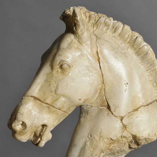 Beeld Paarden Hoofd Wit
