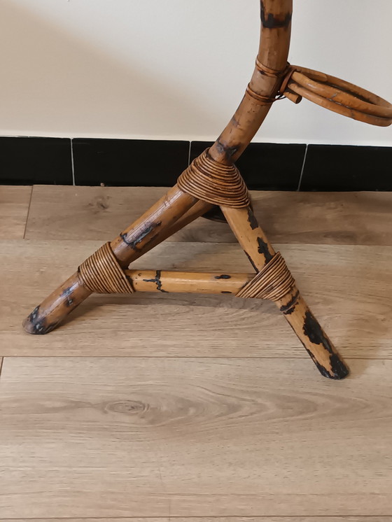 Image 1 of Rotan Plantenstandaard Slang