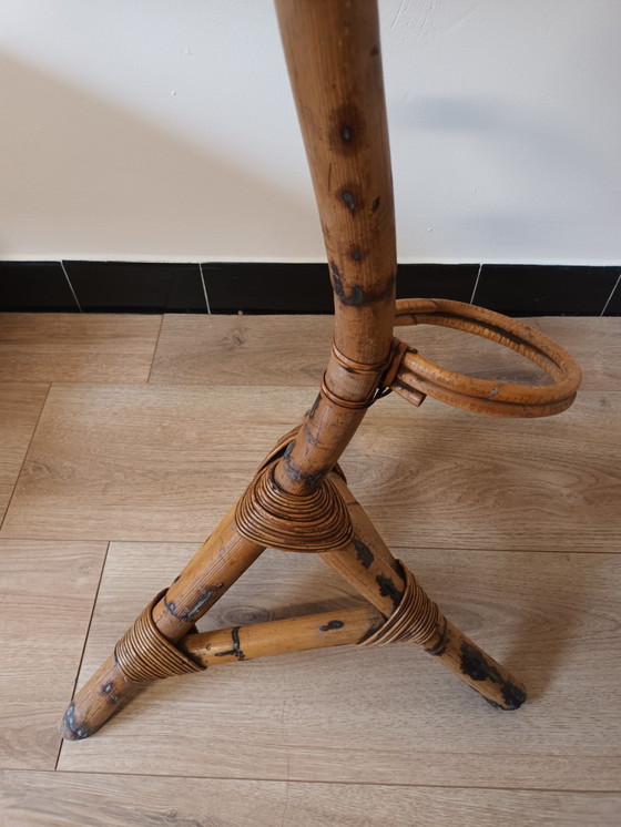 Image 1 of Rotan Plantenstandaard Slang