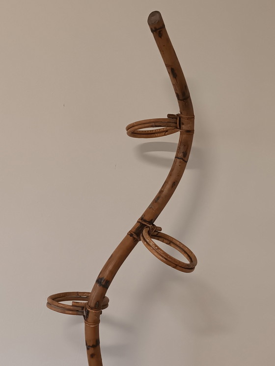 Image 1 of Rotan Plantenstandaard Slang