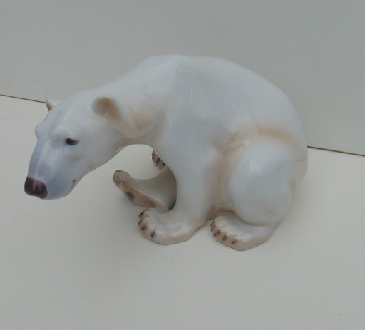 Dahl-Jensen - Polar bear