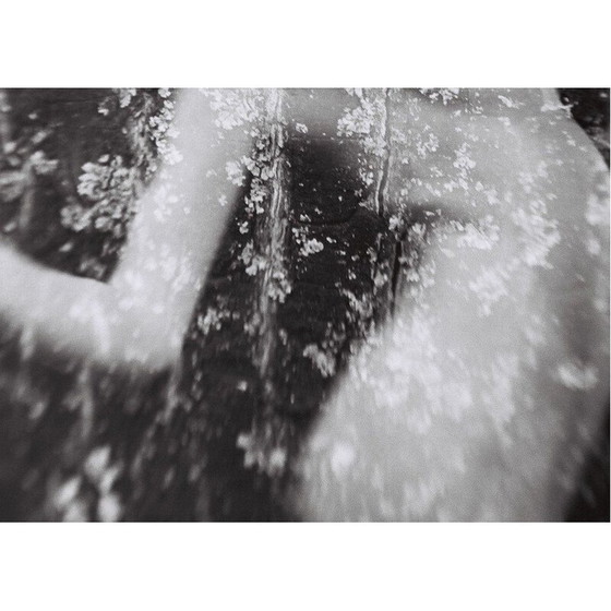 Image 1 of Vintage schilderij Mouvements Naturels 03 van Meïdhy Bichon, 2019