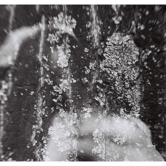 Image 1 of Vintage schilderij Mouvements Naturels 03 van Meïdhy Bichon, 2019