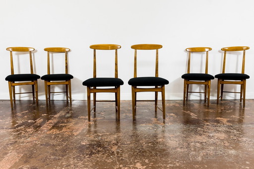 Set van 6 eetkamerstoelen door Bernard Malendowicz, Polen, jaren 1960
