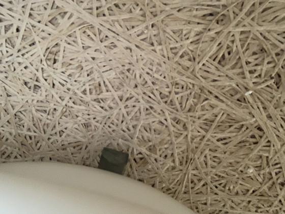 Image 1 of Gispen Minimalistische Glazen Plafondlamp Of Wandlamp