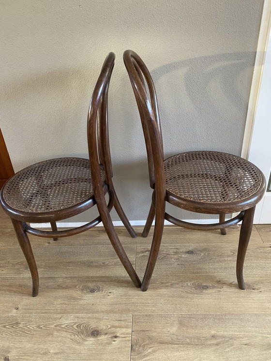 Image 1 of 2 Vintage Thonet Bentwood Stoelen