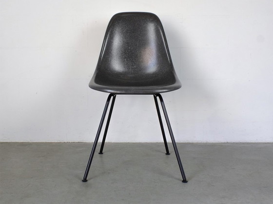 Image 1 of Vitra Dsx Originele Glasfiber Zitschaal In Navy Blue Design Charles Eames B