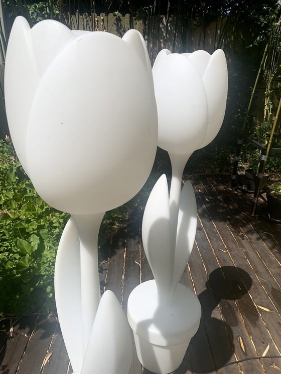 Image 1 of 2x Tulip XL lampen