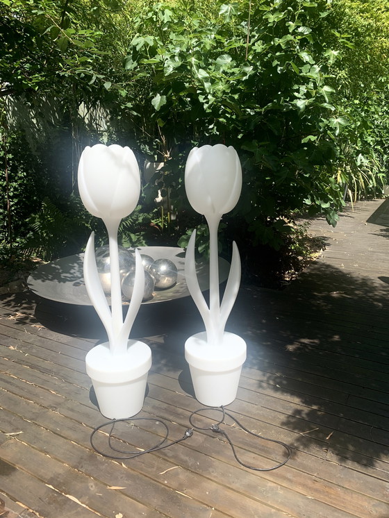 Image 1 of 2x Tulip XL lampen