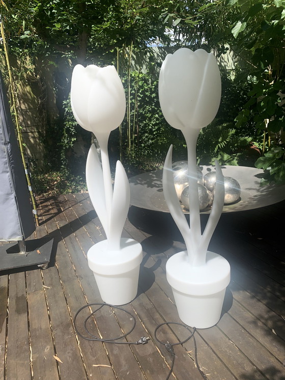 Image 1 of 2x Tulip XL lampen