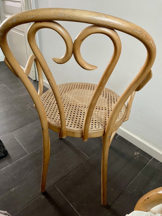 Image 1 of Vintage Habitat Bentwood eetkamerstoelen met armleuningen