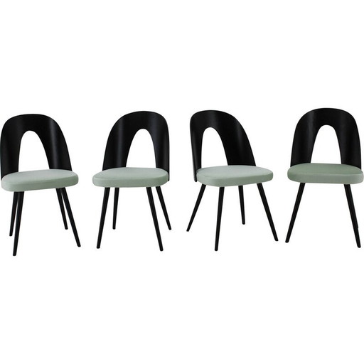 Set van 4 vintage houten eetkamerstoelen door Antonin Suman, Tsjecho-Slowakije 1960