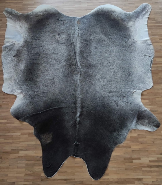 Image 1 of Wit Grijs Koeienvel