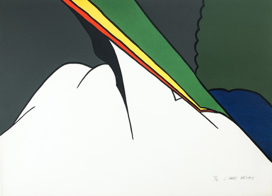 Image 1 of Joan Gardy Artigas: Litho 'L’eclair multecolore'