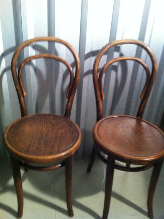 Image 1 of 6x Thonet stoel