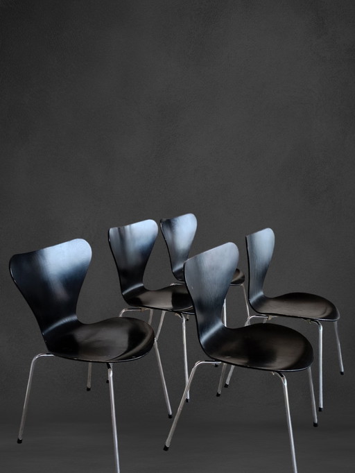 5x Vintage Fritz Hansen Arne Jacobsen 3107 Stoel Stoelontwerp 1984 Patina