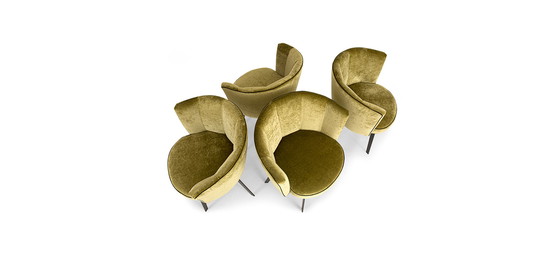 Image 1 of 4x DIVA arm chair