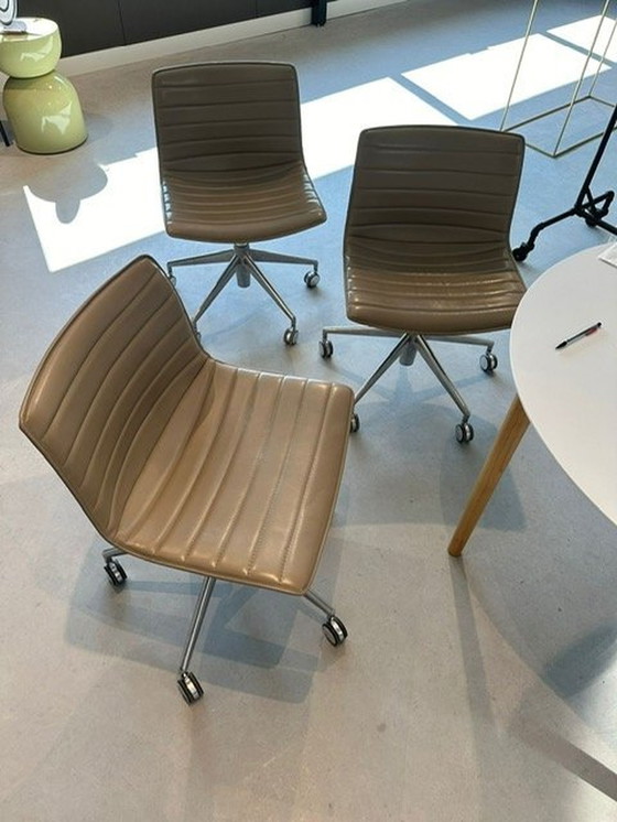 Image 1 of 3x Arper Carina 46 Studio/Office Stoelen