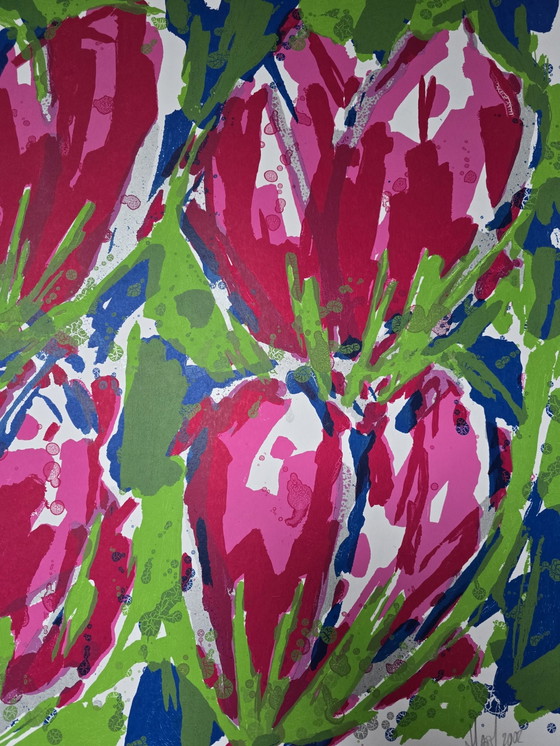 Image 1 of Ad van Hassel - Magenta Tulpen