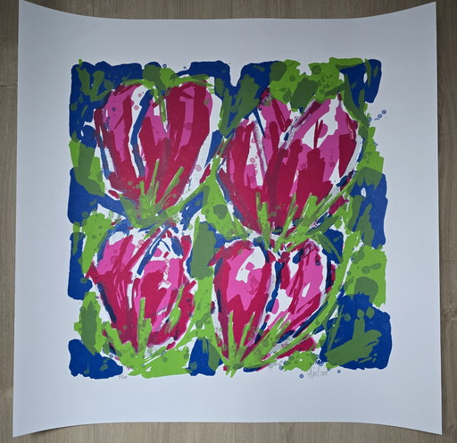 Ad van Hassel - Magenta Tulpen