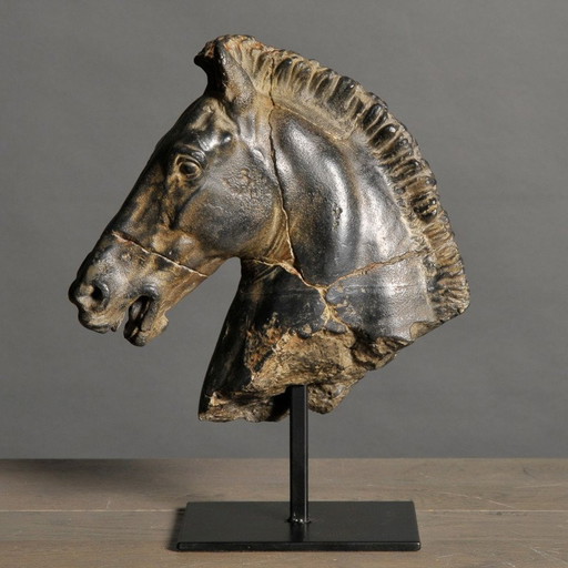 Beeld Zwart Paarden Hoofd