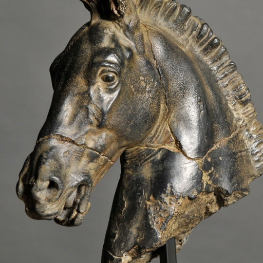 Beeld Zwart Paarden Hoofd
