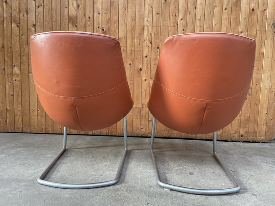 Image 1 of Rolf Benz fauteuil 582 - 2 stuks