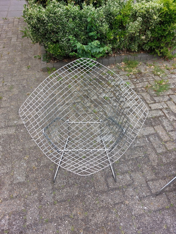 Image 1 of 2 Knoll bertoia stoelen