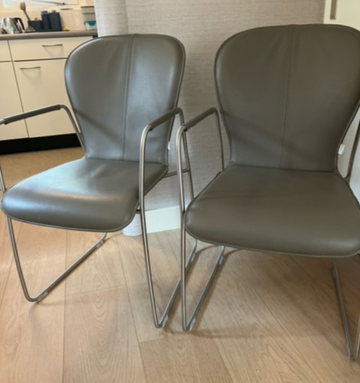 2x  Bert Plantagie Blake slede stoelen