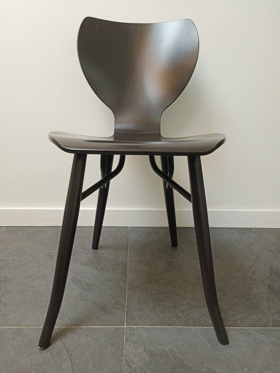 Image 1 of 6x Linteloo Tulipani Design Stoelen