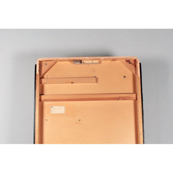 Image 1 of Vintage houten en kunststof kast met spiegel, Duitsland 1961