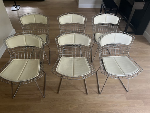 6x Harry Bertoia Eetkamerstoelen Model 420C