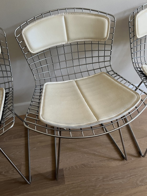 Image 1 of 6x Harry Bertoia Eetkamerstoelen Model 420C