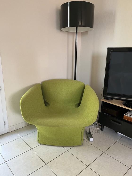 Image 1 of Bloomy fauteuil Voor Moroso