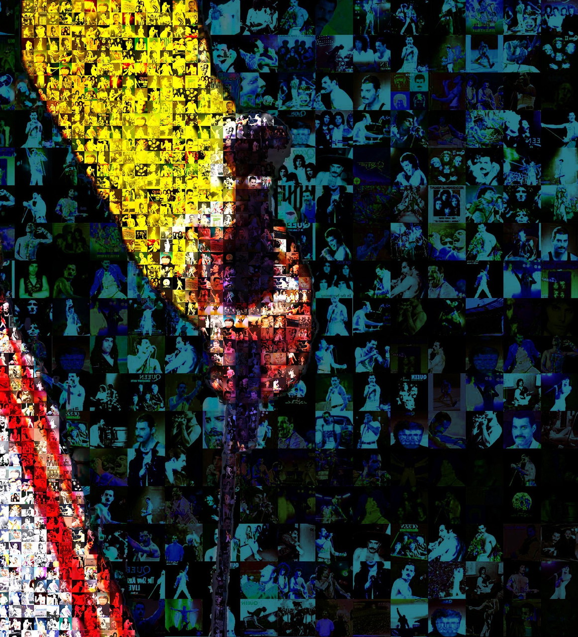 Freddy Koningin 2.0 | €900 | Whoppah