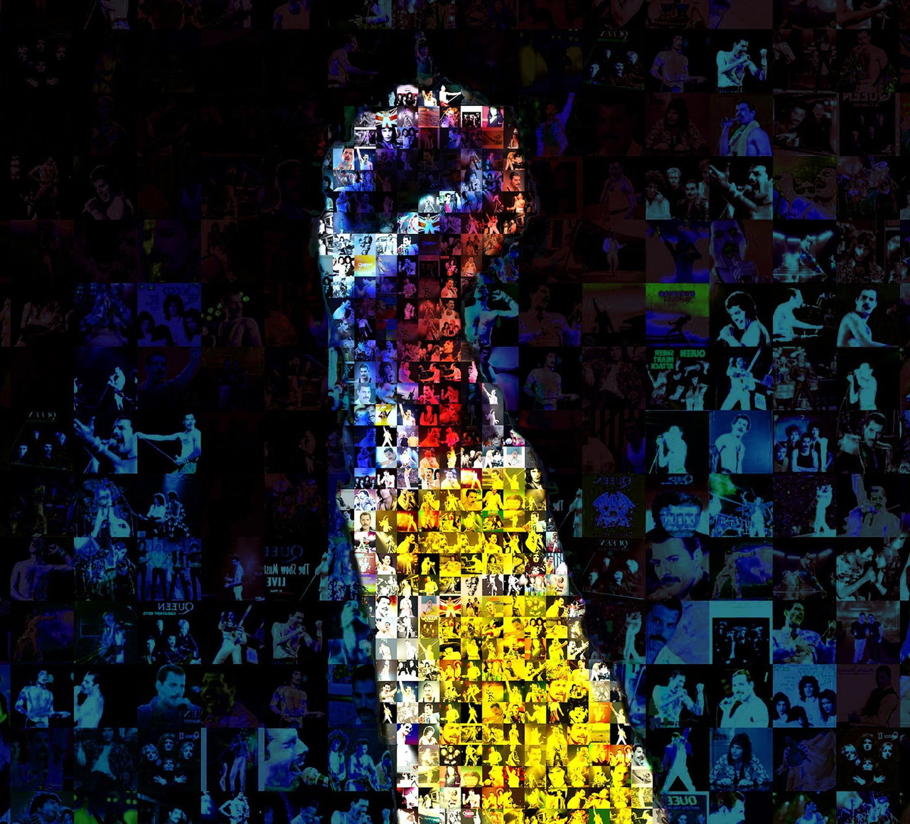 Freddy Koningin 2.0 | €900 | Whoppah