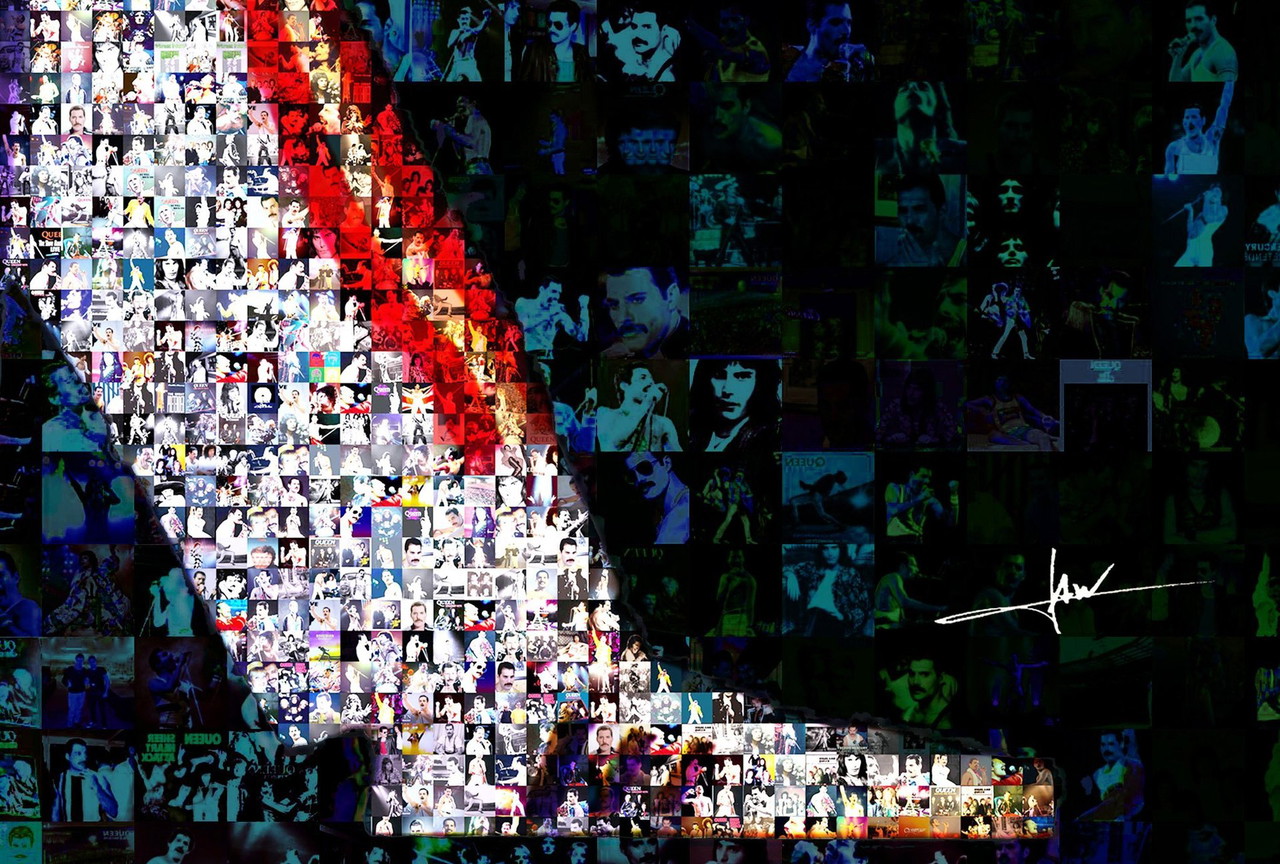 Freddy Koningin 2.0 | €900 | Whoppah