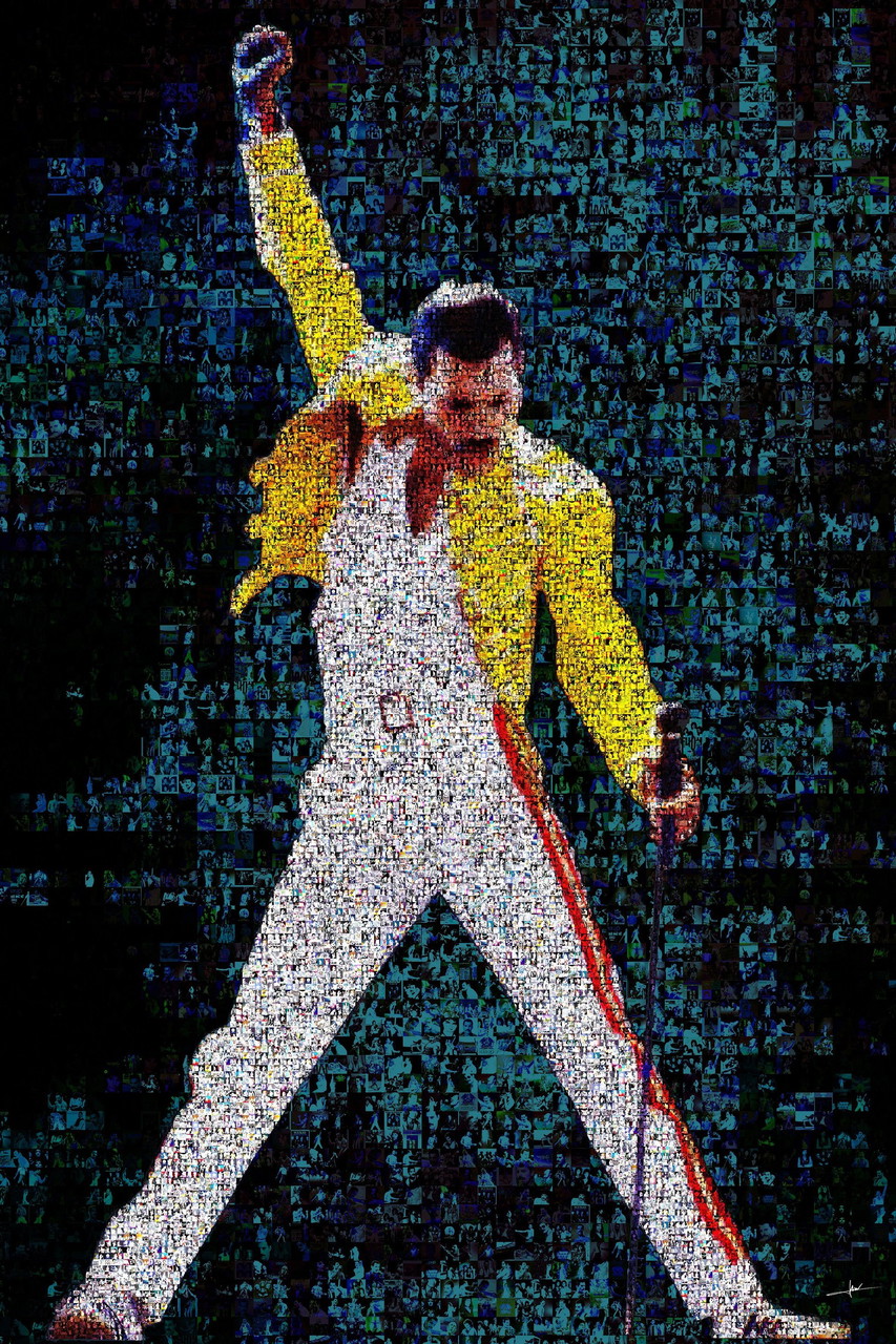 Freddy Koningin 2.0 | €900 | Whoppah