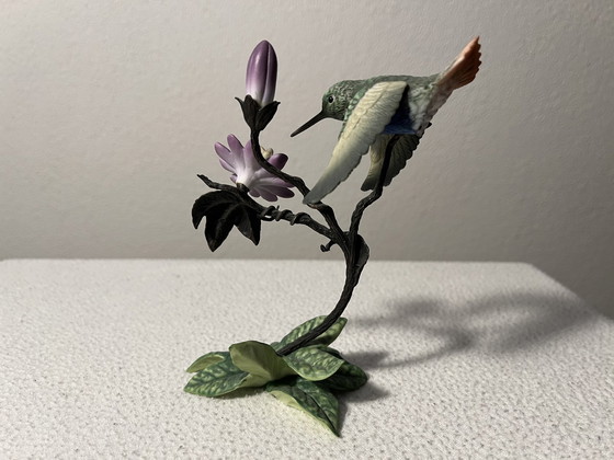 Image 1 of Alan Singer Franklin Mint Hummingbird / Kolibrie Porselein