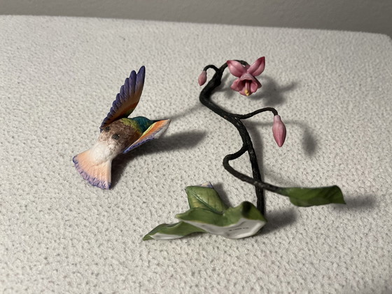 Image 1 of Alan Singer Franklin Mint Hummingbird / Kolibrie Porselein