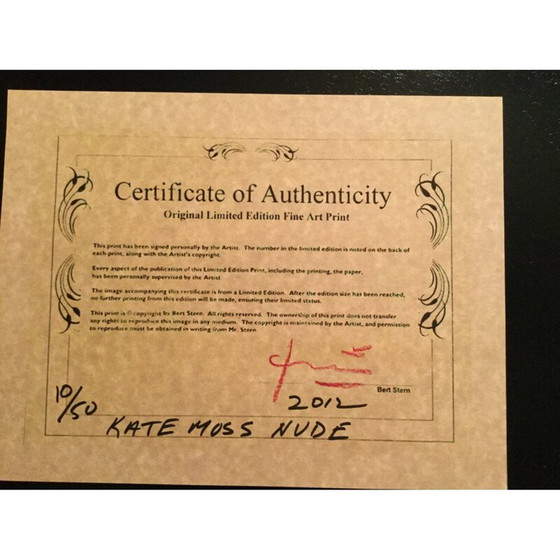 Image 1 of Vintage foto van Kate Moss naakt voor Bert Stern, 2012