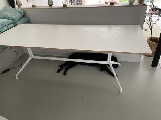 Image 1 of Over een tafel Hay AA 10 220x90