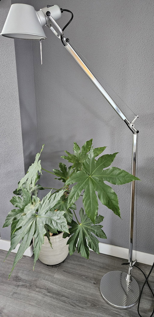 Artemide Tolomeo Vloerlamp Lettura Alu