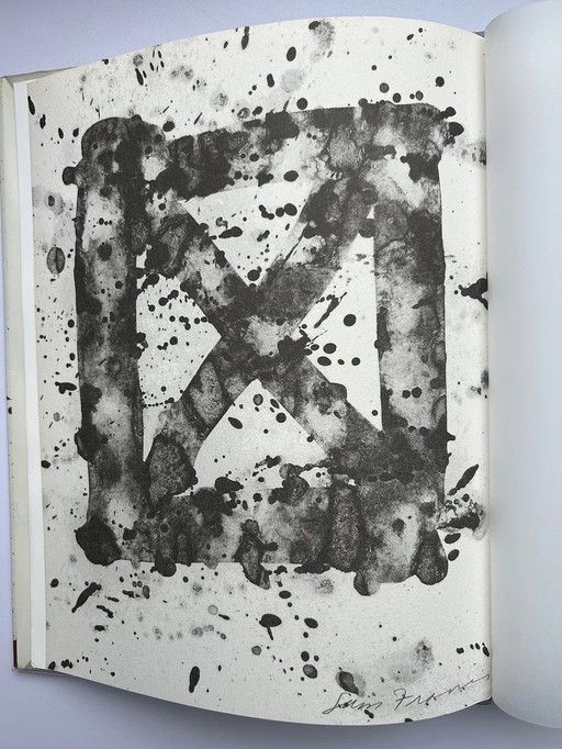 Boek Sam Francis      Auteur: Yves Michaud