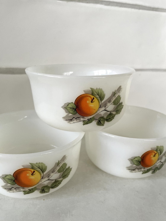 Image 1 of Vintage Arcopal Fruits De France  