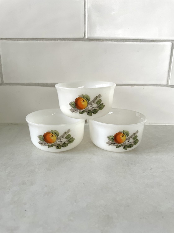 Image 1 of Vintage Arcopal Fruits De France  