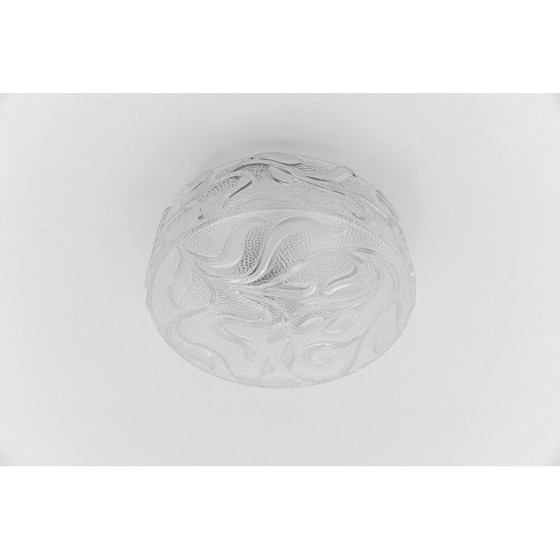 Image 1 of Vintage botanische plafondlamp in transparant glas, Duitsland 1960