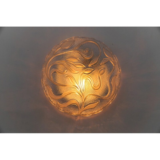 Image 1 of Vintage botanische plafondlamp in transparant glas, Duitsland 1960