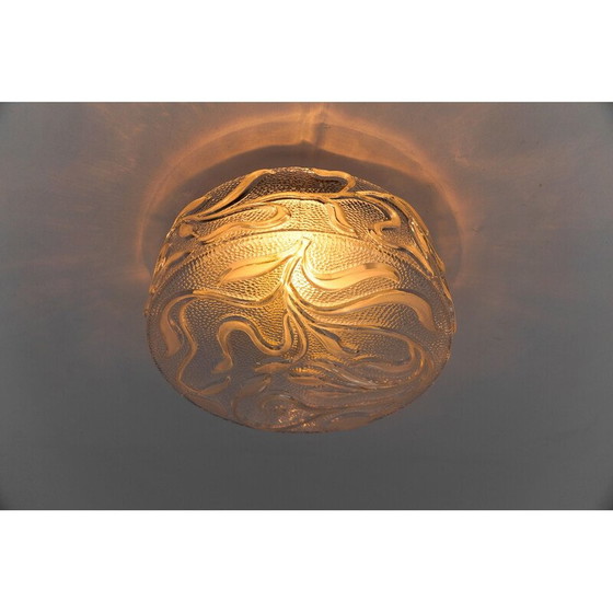 Image 1 of Vintage botanische plafondlamp in transparant glas, Duitsland 1960